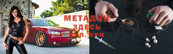 прущие грибы Нефтекумск