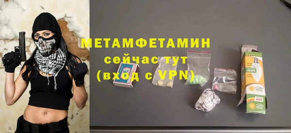 прущие грибы Нефтекумск