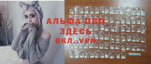 прущие грибы Нефтекумск