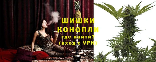 прущие грибы Нефтекумск