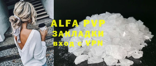 прущие грибы Нефтекумск