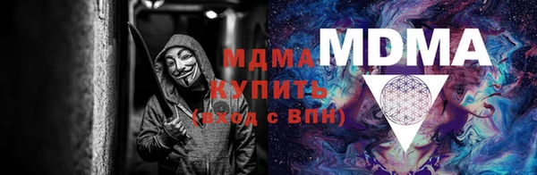 прущие грибы Нефтекумск
