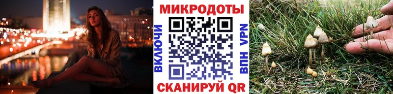 Галлюциногенные грибы мухоморы закладка Кириши