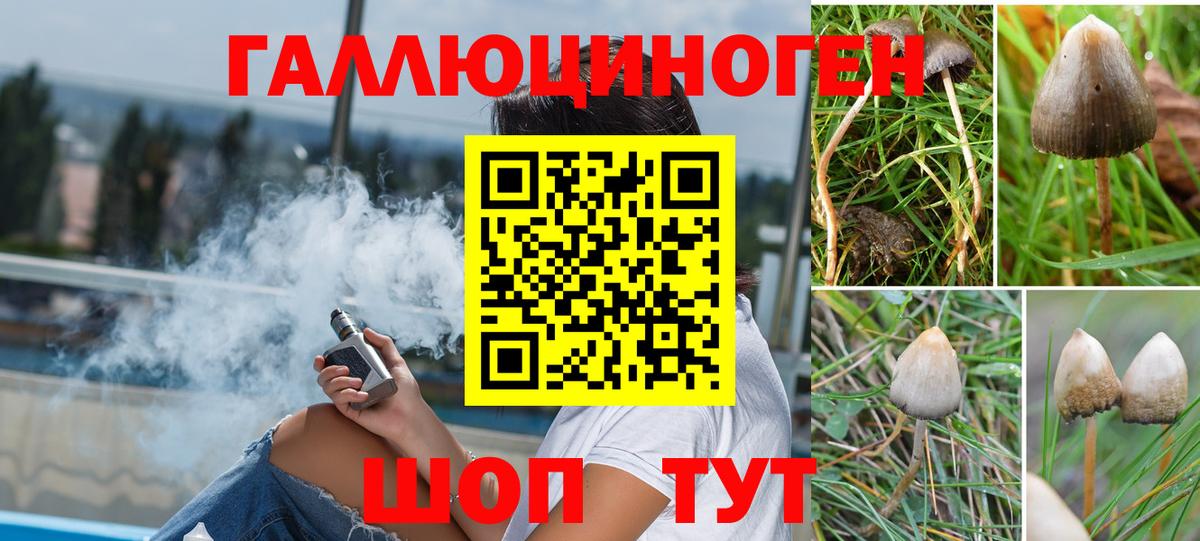 Псилоцибиновые грибы Psilocybine cubensis  Галлюциногенные грибы Cubensis  Кириши 