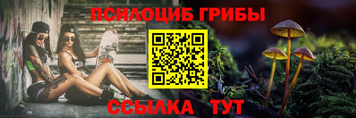 Псилоцибиновые грибы Cubensis Кириши