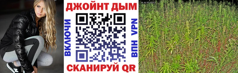 Канабис семена  Кириши 